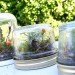 Terrarium, top 10, DIY, holiday, gift guide, gardening, plants, christmas