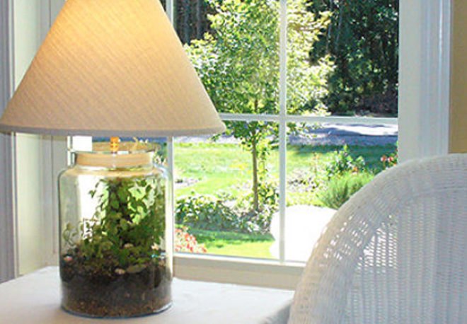 Terrarium, top 10, DIY, holiday, gift guide, gardening, plants, christmas