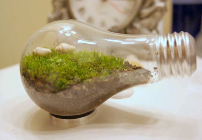 Terrarium, top 10, DIY, holiday, gift guide, gardening, plants, christmas