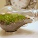 Terrarium, top 10, DIY, holiday, gift guide, gardening, plants, christmas