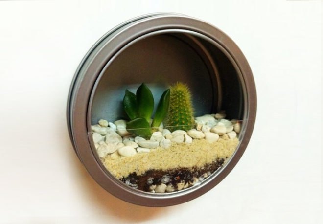 Terrarium, top 10, DIY, holiday, gift guide, gardening, plants, christmas