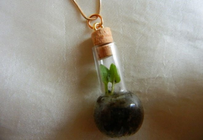 Terrarium, top 10, DIY, holiday, gift guide, gardening, plants, christmas