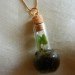 Terrarium, top 10, DIY, holiday, gift guide, gardening, plants, christmas