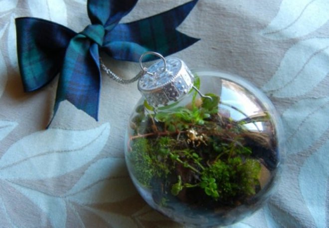 Terrarium, top 10, DIY, holiday, gift guide, gardening, plants, christmas