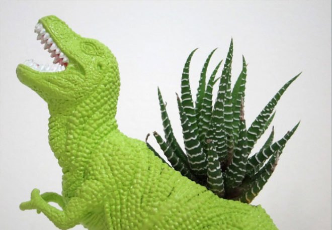 Terrarium, top 10, DIY, holiday, gift guide, gardening, plants, christmas