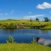 Green Dragon Pub, hobbit houses, hobbits, Lord of the Rings, Peter Jackson, New Zealand, North Island, trilogy, Hobbiton, sustainable design, timber furnishings, thatched roof