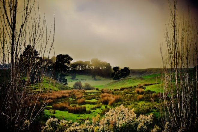 Green Dragon Pub, hobbit houses, hobbits, Lord of the Rings, Peter Jackson, New Zealand, North Island, trilogy, Hobbiton, sustainable design, timber furnishings, thatched roof