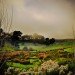 Green Dragon Pub, hobbit houses, hobbits, Lord of the Rings, Peter Jackson, New Zealand, North Island, trilogy, Hobbiton, sustainable design, timber furnishings, thatched roof