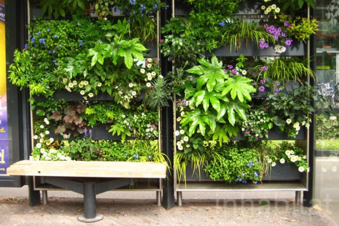 WVTTK Architects, green bus stop, mathilda, Eindhoven, Ana Lisa Alperovich, plants, green public space, competition, dutch design week, architecture, green design, dutch design week,