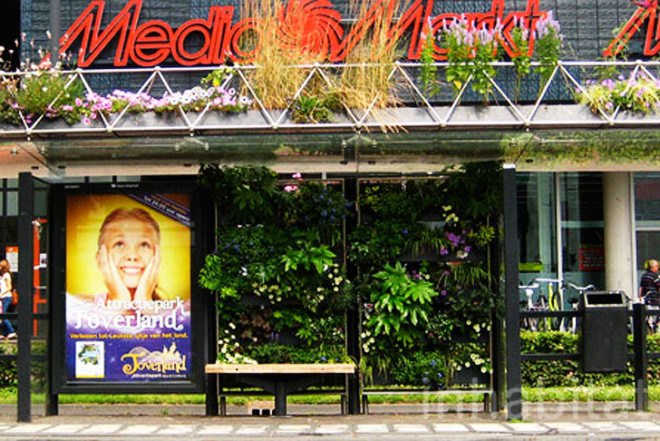 WVTTK Architects, green bus stop, mathilda, Eindhoven, Ana Lisa Alperovich, plants, green public space, competition, dutch design week, architecture, green design, dutch design week,
