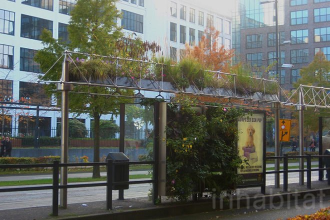 WVTTK Architects, green bus stop, mathilda, Eindhoven, Ana Lisa Alperovich, plants, green public space, competition, dutch design week, architecture, green design, dutch design week,