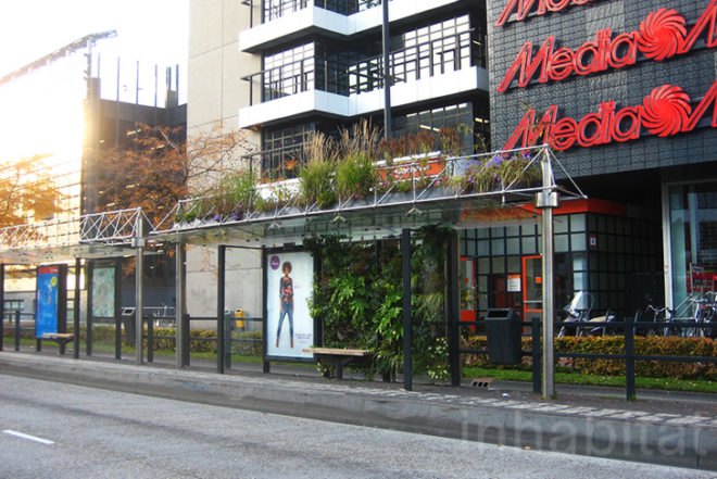 WVTTK Architects, green bus stop, mathilda, Eindhoven, Ana Lisa Alperovich, plants, green public space, competition, dutch design week, architecture, green design, dutch design week,