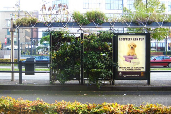 WVTTK Architects, green bus stop, mathilda, Eindhoven, Ana Lisa Alperovich, plants, green public space, competition, dutch design week, architecture, green design, dutch design week,
