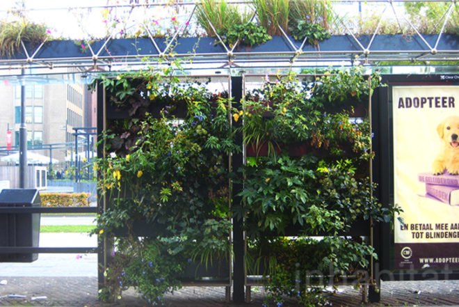 WVTTK Architects, green bus stop, mathilda, Eindhoven, Ana Lisa Alperovich, plants, green public space, competition, dutch design week, architecture, green design, dutch design week,