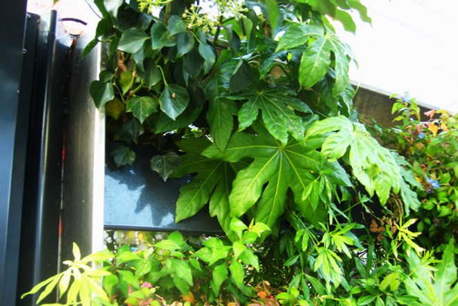 WVTTK Architects, green bus stop, mathilda, Eindhoven, Ana Lisa Alperovich, plants, green public space, competition, dutch design week, architecture, green design, dutch design week,