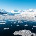 antarctica, sea ice, glaciers, ice, icebergs