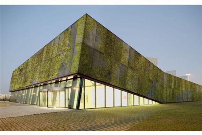 biological concrete, building material, universitat politecnica de cataluyna, vertical gardens
