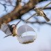 Birdfreeder, bird feeder, green design, sustainable design, flat pack bird feeder, flatpack, recycled materials, animals, birds, nature, green products