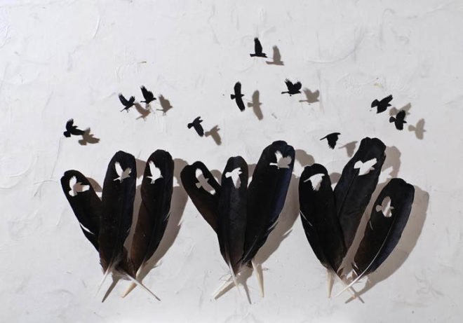 Chris Maynard, feather art, featherfolio, feathers, feather design