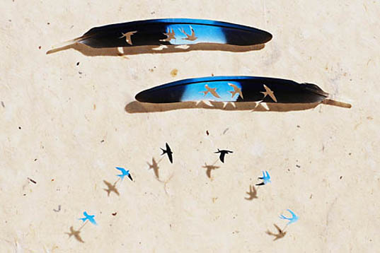 Chris Maynard, feather art, featherfolio, feathers, feather design