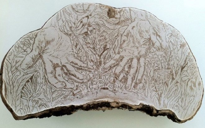 corey corcoran, mushroom, artist conk. etchings, illustration, engraving, plants, insects, figures