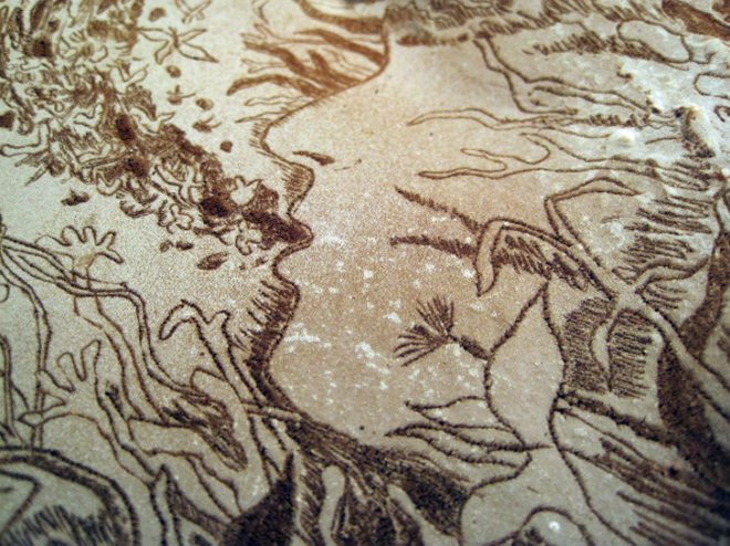 corey corcoran, mushroom, artist conk. etchings, illustration, engraving, plants, insects, figures