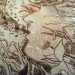 corey corcoran, mushroom, artist conk. etchings, illustration, engraving, plants, insects, figures