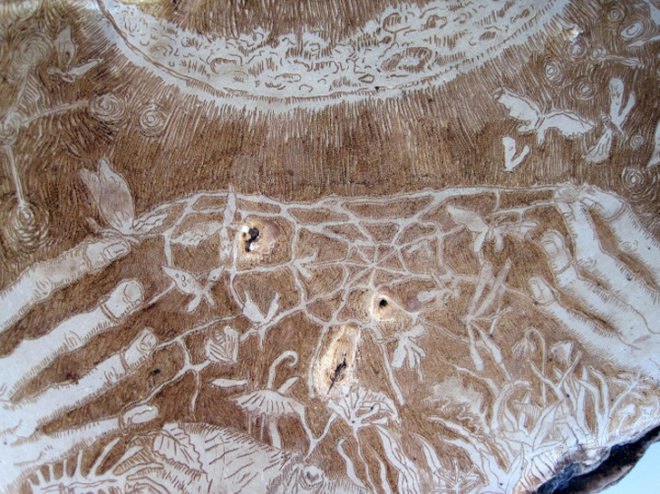 corey corcoran, mushroom, artist conk. etchings, illustration, engraving, plants, insects, figures