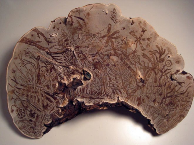 corey corcoran, mushroom, artist conk. etchings, illustration, engraving, plants, insects, figures