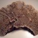 corey corcoran, mushroom, artist conk. etchings, illustration, engraving, plants, insects, figures