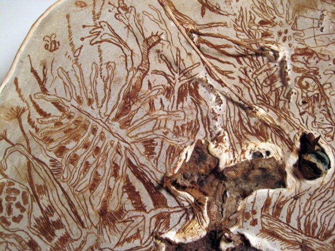 corey corcoran, mushroom, artist conk. etchings, illustration, engraving, plants, insects, figures