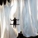 green design, eco design, sustainable design, Ann Hamilton, The event of the thread, Park Avenue Armory, interactive art installations NYC, swing art installation, Aristotle, trained pigeons