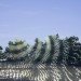 Light Projections, Javier Riera, light installations, sustainable artwork, green art, light art, eco interventions