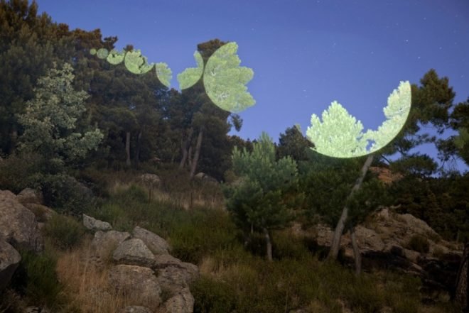 Light Projections, Javier Riera, light installations, sustainable artwork, green art, light art, eco interventions