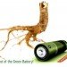 battery, madder root, purpurin, city college of new york, rice university, eco battery, lithium ion