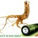battery, madder root, purpurin, city college of new york, rice university, eco battery, lithium ion