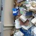 Alicia Martín, Ana Lisa Alperovich, books, recycled books, books cascade, books vomit, Paper Biennale, The Hague, Meermanno Museum, books sculpture, Art, Recycled Materials