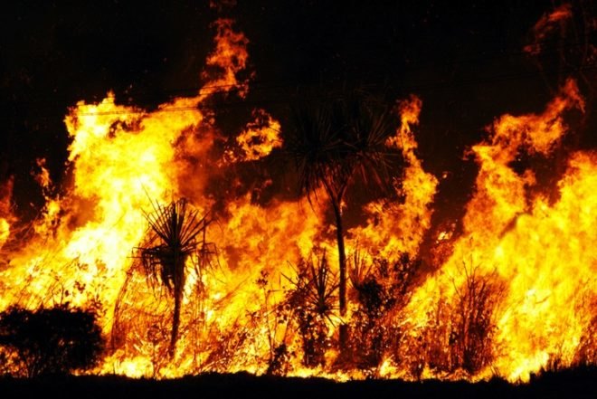 bush fire, global warming, climate change, wild fire, heat wave, Australia, Tasmania, Julia Gillard, environment, news