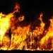 bush fire, global warming, climate change, wild fire, heat wave, Australia, Tasmania, Julia Gillard, environment, news
