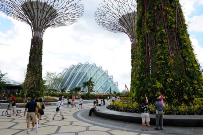 Cooled Conservatories, Wilkinson Eyre, gardens by the bay, greenhouse, landscape architecture, eco greenhouse, singapore
