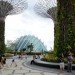 Cooled Conservatories, Wilkinson Eyre, gardens by the bay, greenhouse, landscape architecture, eco greenhouse, singapore