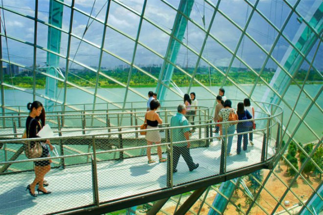 Cooled Conservatories, Wilkinson Eyre, gardens by the bay, greenhouse, landscape architecture, eco greenhouse, singapore