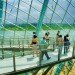 Cooled Conservatories, Wilkinson Eyre, gardens by the bay, greenhouse, landscape architecture, eco greenhouse, singapore