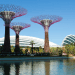 Cooled Conservatories, Wilkinson Eyre, gardens by the bay, greenhouse, landscape architecture, eco greenhouse, singapore