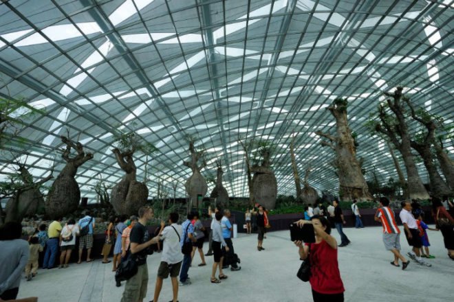 Cooled Conservatories, Wilkinson Eyre, gardens by the bay, greenhouse, landscape architecture, eco greenhouse, singapore