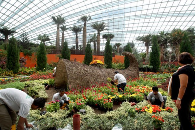 Cooled Conservatories, Wilkinson Eyre, gardens by the bay, greenhouse, landscape architecture, eco greenhouse, singapore