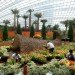 Cooled Conservatories, Wilkinson Eyre, gardens by the bay, greenhouse, landscape architecture, eco greenhouse, singapore