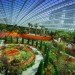 Cooled Conservatories, Wilkinson Eyre, gardens by the bay, greenhouse, landscape architecture, eco greenhouse, singapore