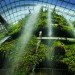 Cooled Conservatories, Wilkinson Eyre, gardens by the bay, greenhouse, landscape architecture, eco greenhouse, singapore