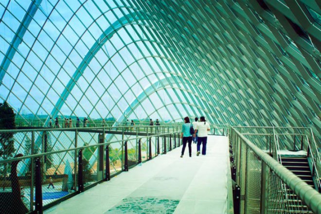 Cooled Conservatories, Wilkinson Eyre, gardens by the bay, greenhouse, landscape architecture, eco greenhouse, singapore